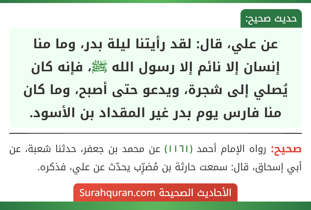 عن علي، قال: لقد رأيتنا ليلة بدر، وما منا إنسان إلا نائم إلا رسول الله ﷺ، فإنه كان يُصلي إلى شجرة، ويدعو حتى أصبح، وما كان منا فارس يوم بدر غير المقداد بن الأسود. عن علي، قال: لقد رأيتنا ليلة بدر، وما منا إنسان إلا نائم إلا رسول الله ﷺ، فإنه كان يُصلي إلى شجرة، ويدعو حتى أصبح، وما كان منا فارس يوم بدر غير المقداد بن الأسود.
