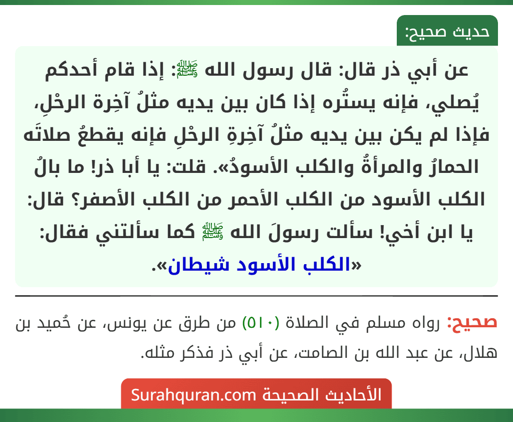 عن أبي ذر قال: قال رسول الله ﷺ: إذا قام أحدكم يُصلي، فإنه يستُره إذا كان بين يديه مثلُ آخِرة الرحْلِ، فإذا لم يكن بين يديه مثلُ آخِرةِ الرحْلِ فإنه يقطعُ صلاتَه الحمارُ والمرأةُ والكلب الأسودُ». قلت: يا أبا ذر! ما بالُ الكلب الأسود من الكلب الأحمر من الكلب الأصفر؟ قال: يا ابن أخي! سألت رسولَ الله ﷺ كما سألتني فقال: «الكلب الأسود شيطان». عن أبي ذر قال: قال رسول الله ﷺ: إذا قام أحدكم يُصلي، فإنه يستُره إذا كان بين يديه مثلُ آخِرة الرحْلِ، فإذا لم يكن بين يديه مثلُ آخِرةِ الرحْلِ فإنه يقطعُ صلاتَه الحمارُ والمرأةُ والكلب الأسودُ». قلت: يا أبا ذر! ما بالُ الكلب الأسود من الكلب الأحمر من الكلب الأصفر؟ قال: يا ابن أخي! سألت رسولَ الله ﷺ كما سألتني فقال: «الكلب الأسود شيطان».