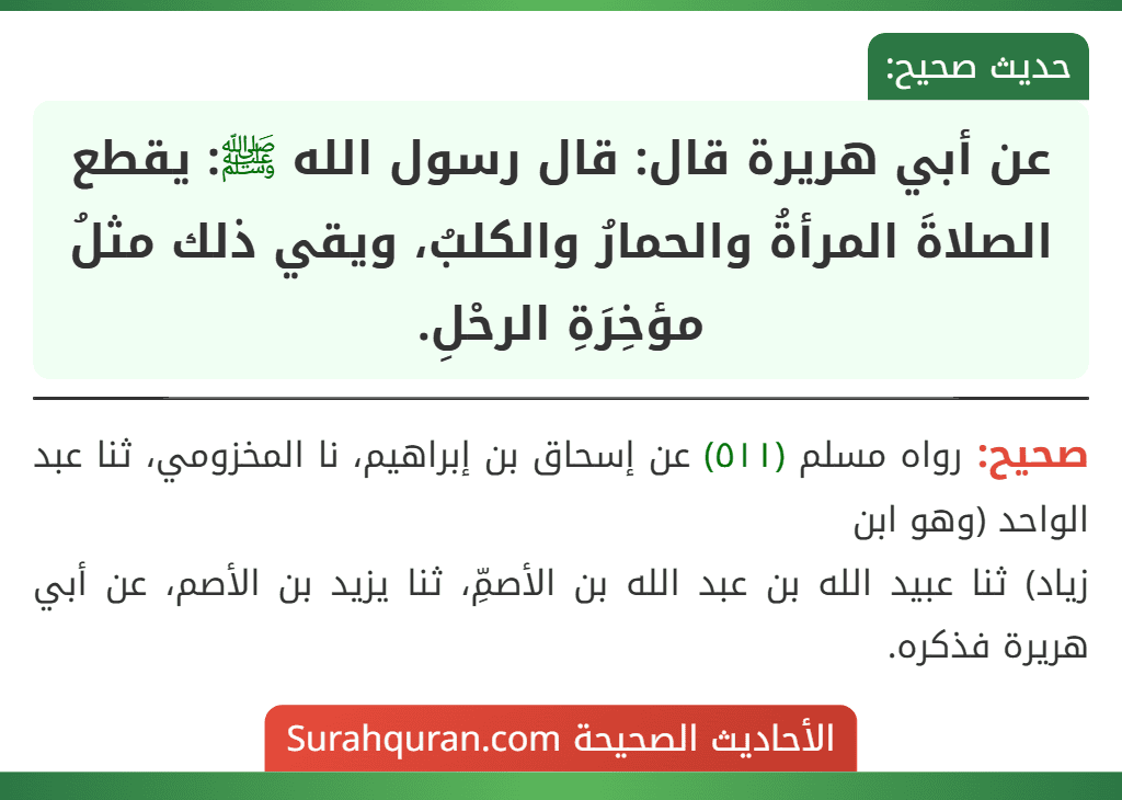 عن أبي هريرة قال: قال رسول الله ﷺ: يقطع الصلاةَ المرأةُ والحمارُ والكلبُ، ويقي ذلك مثلُ مؤخِرَةِ الرحْلِ. عن أبي هريرة قال: قال رسول الله ﷺ: يقطع الصلاةَ المرأةُ والحمارُ والكلبُ، ويقي ذلك مثلُ مؤخِرَةِ الرحْلِ.