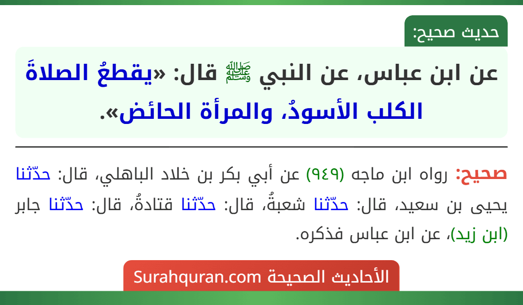 عن ابن عباس، عن النبي ﷺ قال: «يقطعُ الصلاةَ الكلب الأسودُ، والمرأة الحائض». عن ابن عباس، عن النبي ﷺ قال: «يقطعُ الصلاةَ الكلب الأسودُ، والمرأة الحائض».