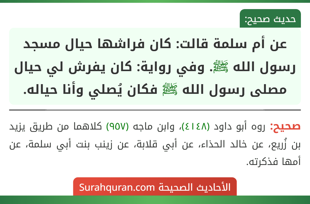 عن أم سلمة قالت: كان فراشها حيال مسجد رسول الله ﷺ. وفي رواية: كان يفرش لي حيال مصلى رسول الله ﷺ فكان يُصلي وأنا حياله. عن أم سلمة قالت: كان فراشها حيال مسجد رسول الله ﷺ. وفي رواية: كان يفرش لي حيال مصلى رسول الله ﷺ فكان يُصلي وأنا حياله.