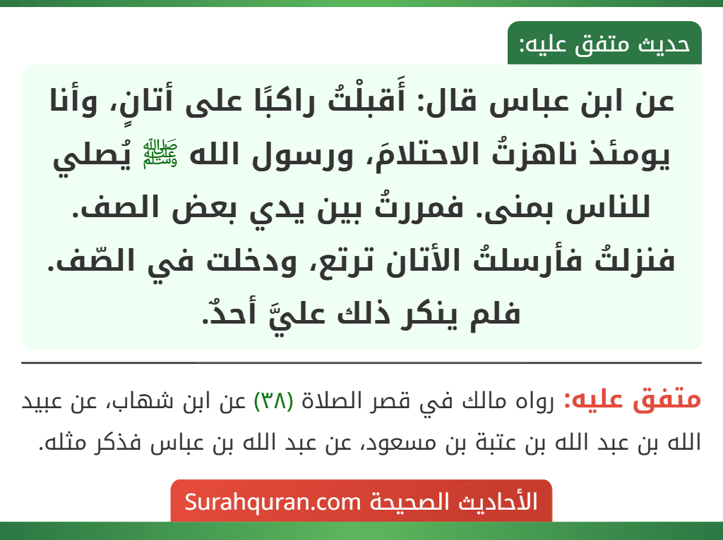 عن ابن عباس قال: أَقبلْتُ راكبًا على أتانٍ، وأنا يومئذ ناهزتُ الاحتلامَ، ورسول الله ﷺ يُصلي للناس بمنى. فمررتُ بين يدي بعض الصف. فنزلتُ فأرسلتُ الأتان ترتع، ودخلت في الصّف. فلم ينكر ذلك عليَّ أحدٌ. عن ابن عباس قال: أَقبلْتُ راكبًا على أتانٍ، وأنا يومئذ ناهزتُ الاحتلامَ، ورسول الله ﷺ يُصلي للناس بمنى. فمررتُ بين يدي بعض الصف. فنزلتُ فأرسلتُ الأتان ترتع، ودخلت في الصّف. فلم ينكر ذلك عليَّ أحدٌ.