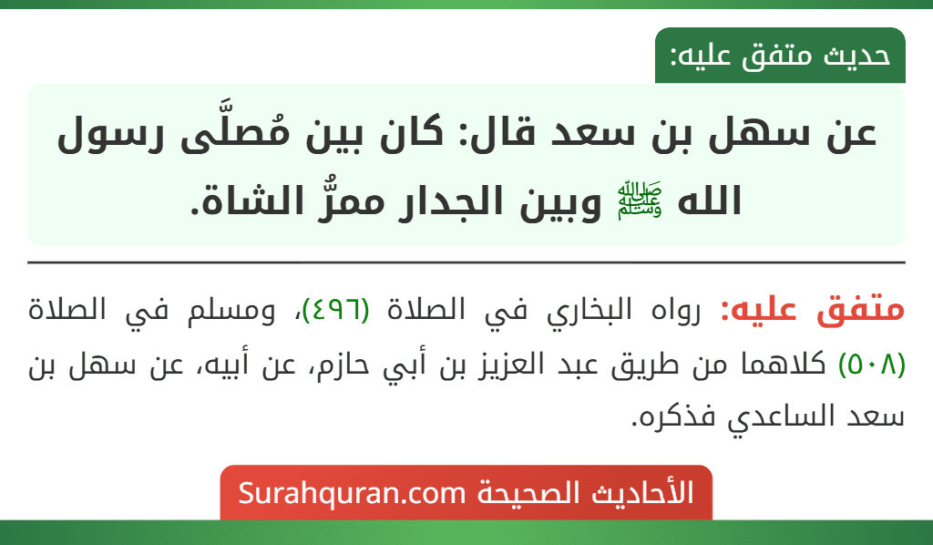 عن سهل بن سعد قال: كان بين مُصلَّى رسول الله ﷺ وبين الجدار ممرُّ الشاة. عن سهل بن سعد قال: كان بين مُصلَّى رسول الله ﷺ وبين الجدار ممرُّ الشاة.