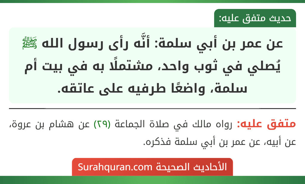 عن عمر بن أبي سلمة: أنَّه رأى رسول الله ﷺ يُصلي في ثوب واحد، مشتملًا به في بيت أم سلمة، واضعًا طرفيه على عاتقه. عن عمر بن أبي سلمة: أنَّه رأى رسول الله ﷺ يُصلي في ثوب واحد، مشتملًا به في بيت أم سلمة، واضعًا طرفيه على عاتقه.