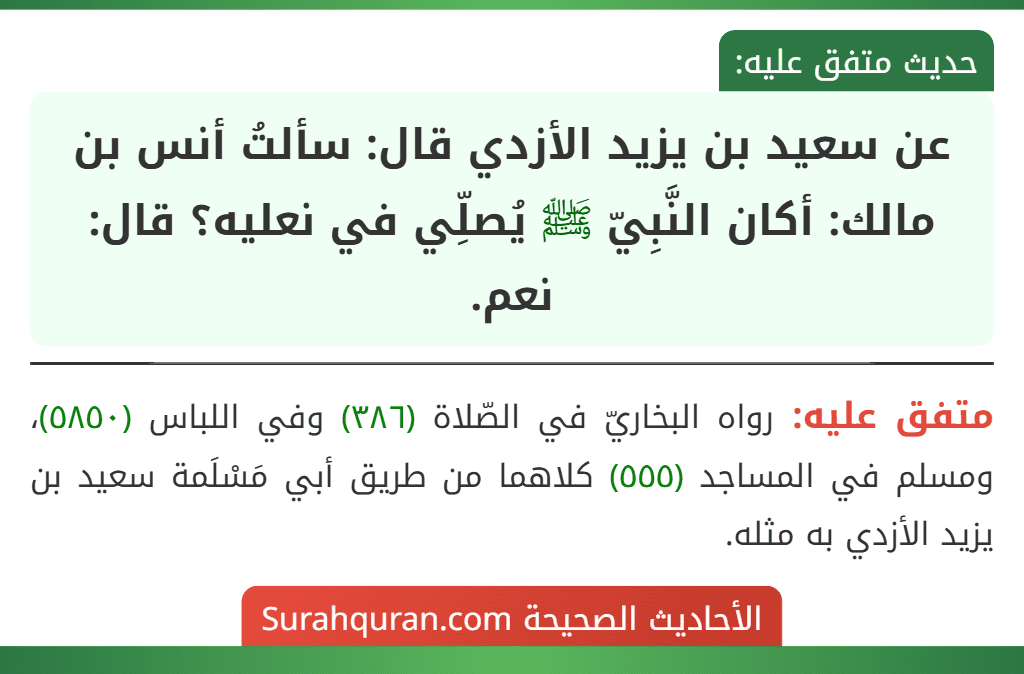 عن سعيد بن يزيد الأزدي قال: سألتُ أنس بن مالك: أكان النَّبِيّ ﷺ يُصلِّي في نعليه؟ قال: نعم. عن سعيد بن يزيد الأزدي قال: سألتُ أنس بن مالك: أكان النَّبِيّ ﷺ يُصلِّي في نعليه؟ قال: نعم.