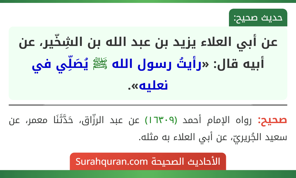 عن أبي العلاء يزيد بن عبد الله بن الشِخّير، عن أبيه قال: «رأيتُ رسول الله ﷺ يُصَلِّي في نعليه». عن أبي العلاء يزيد بن عبد الله بن الشِخّير، عن أبيه قال: «رأيتُ رسول الله ﷺ يُصَلِّي في نعليه».