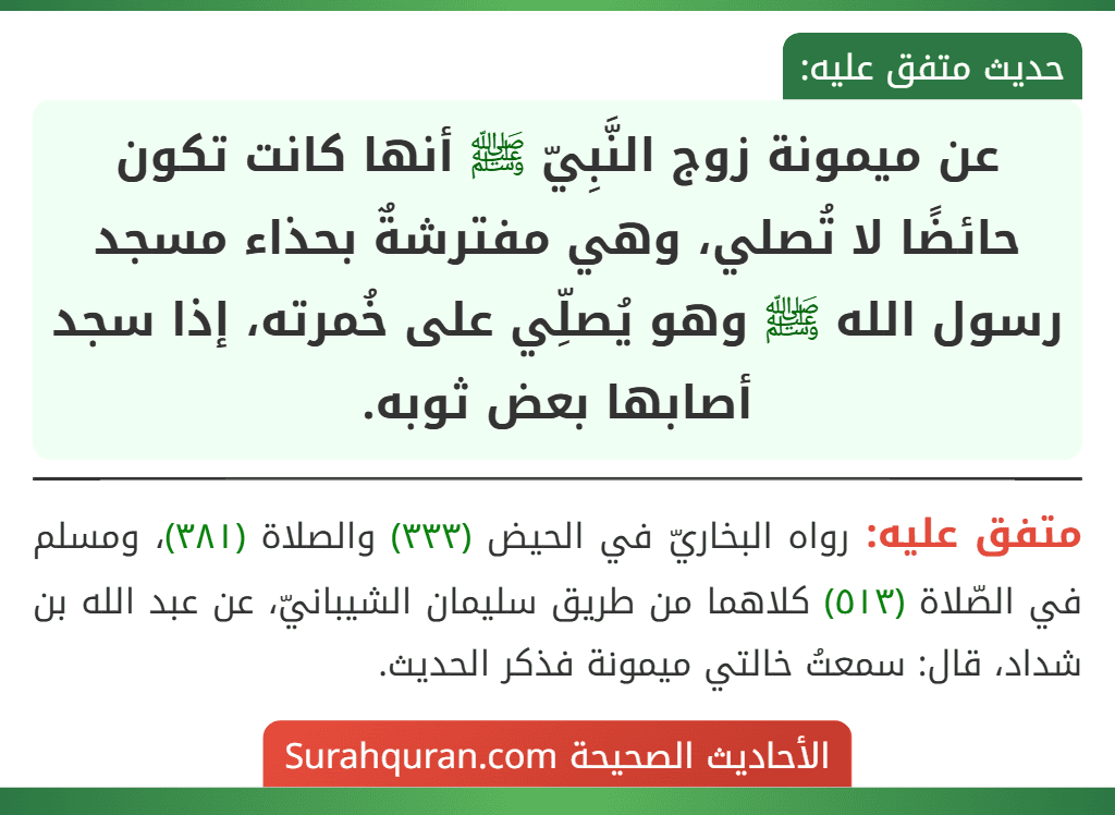 عن ميمونة زوج النَّبِيّ ﷺ أنها كانت تكون حائضًا لا تُصلي، وهي مفترشةٌ بحذاء مسجد رسول الله ﷺ وهو يُصلِّي على خُمرته، إذا سجد أصابها بعض ثوبه. عن ميمونة زوج النَّبِيّ ﷺ أنها كانت تكون حائضًا لا تُصلي، وهي مفترشةٌ بحذاء مسجد رسول الله ﷺ وهو يُصلِّي على خُمرته، إذا سجد أصابها بعض ثوبه.