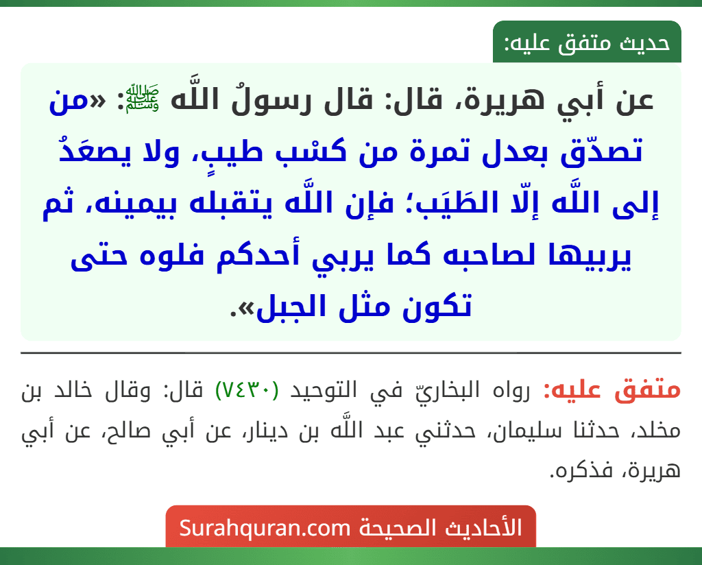 عن أبي هريرة، قال: قال رسولُ اللَّه ﷺ: «من تصدّق بعدل تمرة من كسْب طيبٍ، ولا يصعَدُ إلى اللَّه إلّا الطَيَب؛ فإن اللَّه يتقبله بيمينه، ثم يربيها لصاحبه كما يربي أحدكم فلوه حتى تكون مثل الجبل». عن أبي هريرة، قال: قال رسولُ اللَّه ﷺ: «من تصدّق بعدل تمرة من كسْب طيبٍ، ولا يصعَدُ إلى اللَّه إلّا الطَيَب؛ فإن اللَّه يتقبله بيمينه، ثم يربيها لصاحبه كما يربي أحدكم فلوه حتى تكون مثل الجبل».