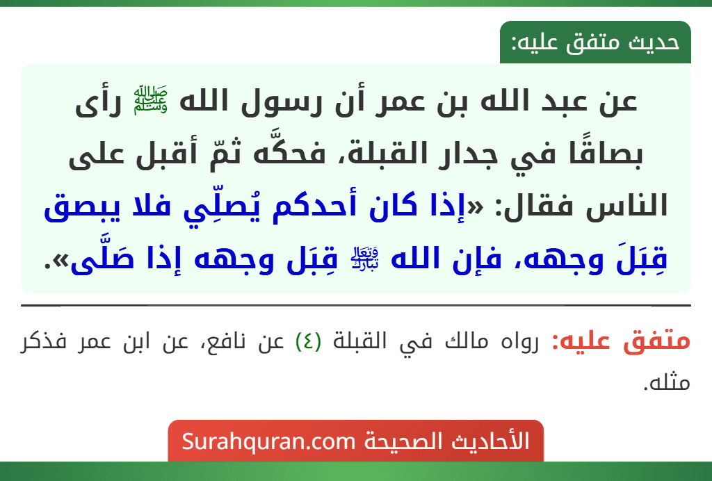 عن عبد الله بن عمر أن رسول الله ﷺ رأى بصاقًا في جدار القبلة، فحكَّه ثمّ أقبل على الناس فقال: «إذا كان أحدكم يُصلِّي فلا يبصق قِبَلَ وجهه، فإن الله ﵎ قِبَل وجهه إذا صَلَّى». عن عبد الله بن عمر أن رسول الله ﷺ رأى بصاقًا في جدار القبلة، فحكَّه ثمّ أقبل على الناس فقال: «إذا كان أحدكم يُصلِّي فلا يبصق قِبَلَ وجهه، فإن الله ﵎ قِبَل وجهه إذا صَلَّى».