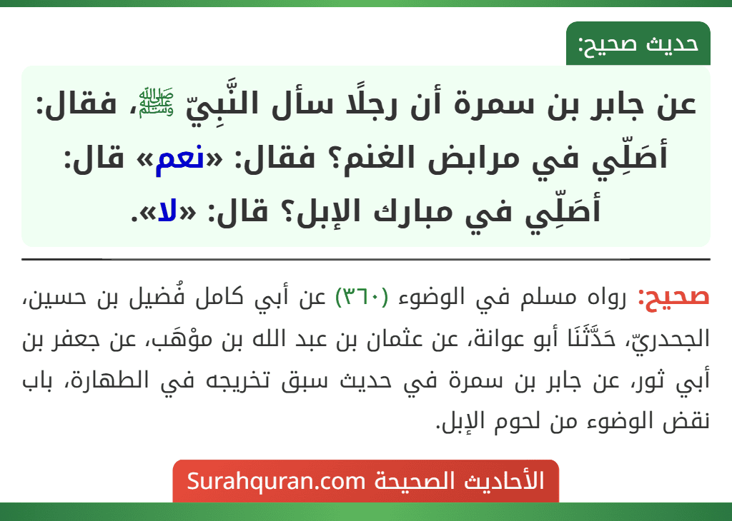 عن جابر بن سمرة أن رجلًا سأل النَّبِيّ ﷺ، فقال: أصَلِّي في مرابض الغنم؟ فقال: «نعم» قال: أصَلِّي في مبارك الإبل؟ قال: «لا».