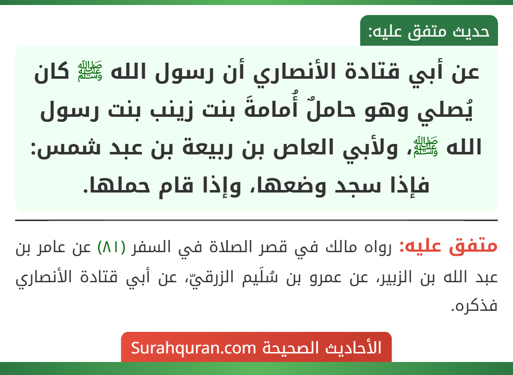 عن أبي قتادة الأنصاري أن رسول الله ﷺ كان يُصلي وهو حاملٌ أُمامةَ بنت زينب بنت رسول الله ﷺ، ولأبي العاص بن ربيعة بن عبد شمس: فإذا سجد وضعها، وإذا قام حملها.