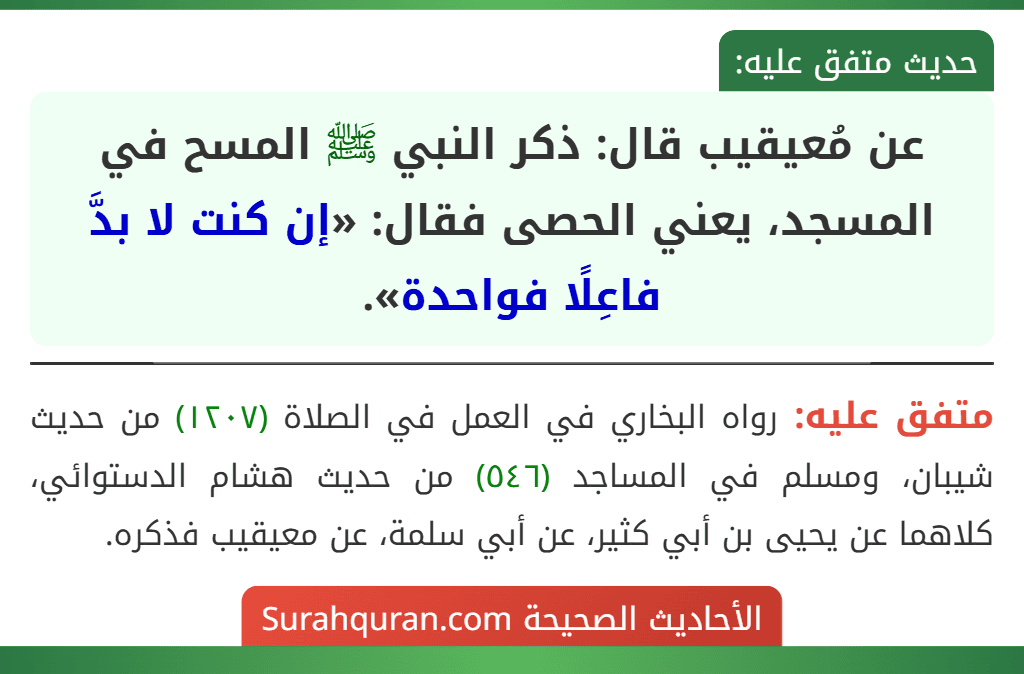 عن مُعيقيب قال: ذكر النبي ﷺ المسح في المسجد، يعني الحصى فقال: «إن كنت لا بدَّ فاعِلًا فواحدة». عن مُعيقيب قال: ذكر النبي ﷺ المسح في المسجد، يعني الحصى فقال: «إن كنت لا بدَّ فاعِلًا فواحدة».