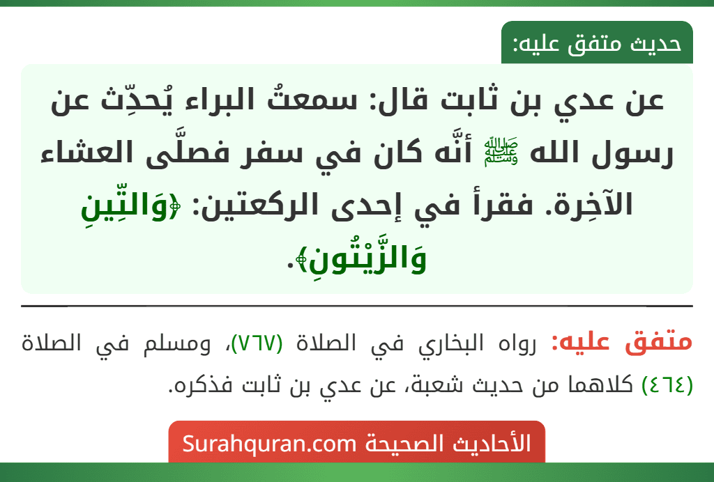 عن عدي بن ثابت قال: سمعتُ البراء يُحدِّث عن رسول الله ﷺ أنَّه كان في سفر فصلَّى العشاء الآخِرة. فقرأ في إحدى الركعتين: ﴿وَالتِّينِ وَالزَّيْتُونِ﴾. عن عدي بن ثابت قال: سمعتُ البراء يُحدِّث عن رسول الله ﷺ أنَّه كان في سفر فصلَّى العشاء الآخِرة. فقرأ في إحدى الركعتين: ﴿وَالتِّينِ وَالزَّيْتُونِ﴾.