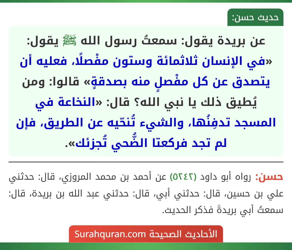 عن بريدة يقول: سمعتُ رسول الله ﷺ يقول: «في الإنسان ثلاثمائة وستون مفْصلًا، فعليه أن يتصدق عن كل مفْصلٍ منه بصدقةٍ» قالوا: ومن يُطيق ذلك يا نبي الله؟ قال: «النخاعة في المسجد تدفِنُها، والشيء تُنحّيه عن الطريق، فإن لم تجد فركعتا الضُّحي تُجزئك». عن بريدة يقول: سمعتُ رسول الله ﷺ يقول: «في الإنسان ثلاثمائة وستون مفْصلًا، فعليه أن يتصدق عن كل مفْصلٍ منه بصدقةٍ» قالوا: ومن يُطيق ذلك يا نبي الله؟ قال: «النخاعة في المسجد تدفِنُها، والشيء تُنحّيه عن الطريق، فإن لم تجد فركعتا الضُّحي تُجزئك».