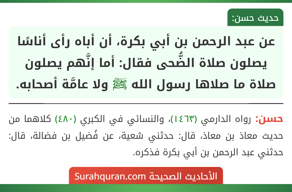 عن عبد الرحمن بن أبي بكرة، أن أباه رأى أناسًا يصلون صلاة الضُّحى فقال: أما إنَّهم يصلون صلاة ما صلاها رسول الله ﷺ ولا عامَّة أصحابه. عن عبد الرحمن بن أبي بكرة، أن أباه رأى أناسًا يصلون صلاة الضُّحى فقال: أما إنَّهم يصلون صلاة ما صلاها رسول الله ﷺ ولا عامَّة أصحابه.