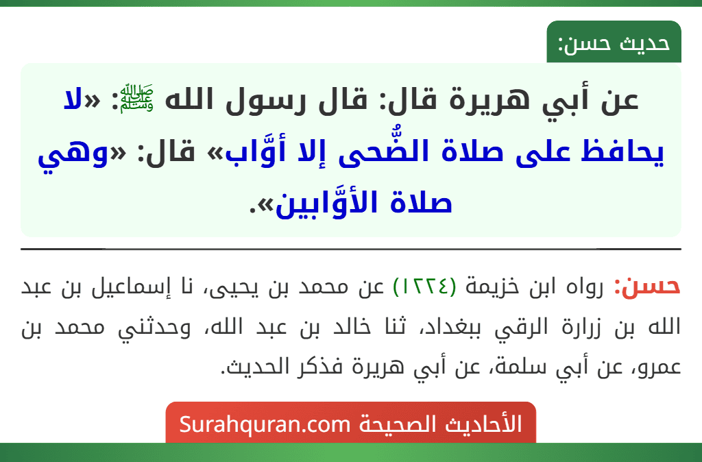 عن أبي هريرة قال: قال رسول الله ﷺ: «لا يحافظ على صلاة الضُّحى إلا أوَّاب» قال: «وهي صلاة الأوَّابين». عن أبي هريرة قال: قال رسول الله ﷺ: «لا يحافظ على صلاة الضُّحى إلا أوَّاب» قال: «وهي صلاة الأوَّابين».