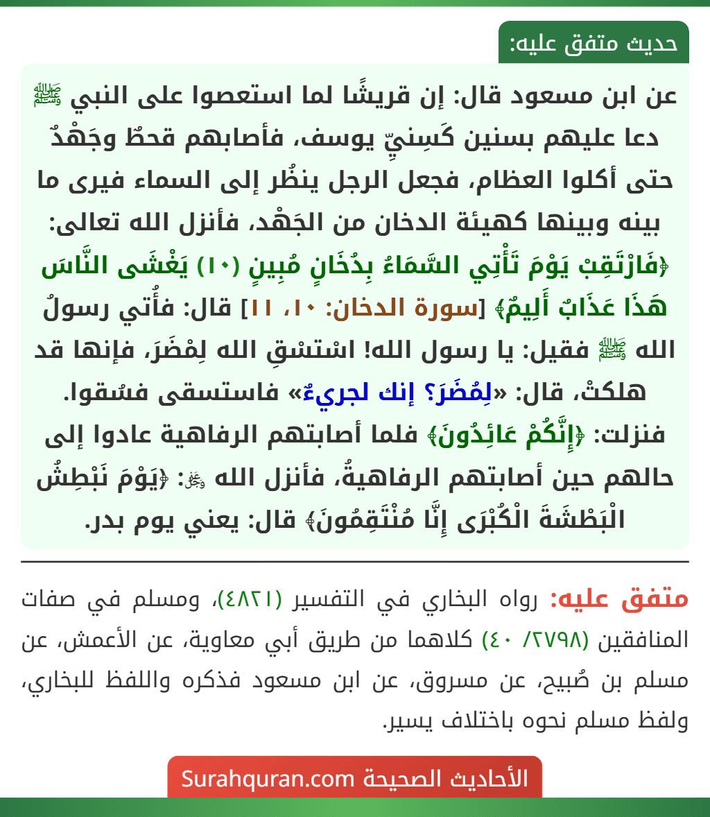 عن ابن مسعود قال: إن قريشًا لما استعصوا على النبي ﷺ دعا عليهم بسنين كَسِنيِّ يوسف، فأصابهم قحطٌ وجَهْدٌ حتى أكلوا العظام، فجعل الرجل ينظُر إلى السماء فيرى ما بينه وبينها كهيئة الدخان من الجَهْد، فأنزل الله تعالى: ﴿فَارْتَقِبْ يَوْمَ تَأْتِي السَّمَاءُ بِدُخَانٍ مُبِينٍ (١٠) يَغْشَى النَّاسَ هَذَا عَذَابٌ أَلِيمٌ﴾ [سورة الدخان: ١٠، ١١] قال: فأُتي رسولُ الله ﷺ فقيل: يا رسول الله! اسْتسْقِ الله لِمْضَرَ، فإنها قد هلكتْ، قال: «لِمُضَرَ؟ إنك لجريءٌ» فاستسقى فسُقوا. فنزلت: ﴿إِنَّكُمْ عَائِدُونَ﴾ فلما أصابتهم الرفاهية عادوا إلى حالهم حين أصابتهم الرفاهيةُ، فأنزل الله ﷿: ﴿يَوْمَ نَبْطِشُ
الْبَطْشَةَ الْكُبْرَى إِنَّا مُنْتَقِمُونَ﴾ قال: يعني يوم بدر.