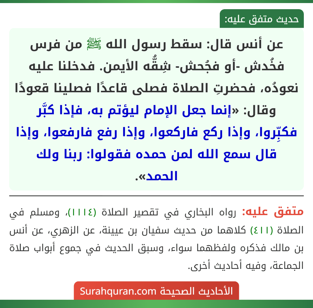 عن أنس قال: سقط رسول الله ﷺ من فرس فخُدش -أو فجُحش- شِقُّه الأيمن. فدخلنا عليه نعودُه، فحضرتِ الصلاة فصلى قاعدًا فصلينا قعودًا وقال: «إنما جعل الإمام ليؤتم به، فإذا كبَّر فكبِّروا، وإذا ركع فاركعوا، وإذا رفع فارفعوا، وإذا قال سمع الله لمن حمده فقولوا: ربنا ولك الحمد».