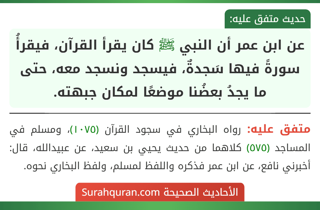 عن ابن عمر أن النبي ﷺ كان يقرأ القرآن، فيقرأُ سورةً فيها سَجدةٌ، فيسجد ونسجد معه، حتى ما يجدُ بعضُنا موضعًا لمكان جبهته.