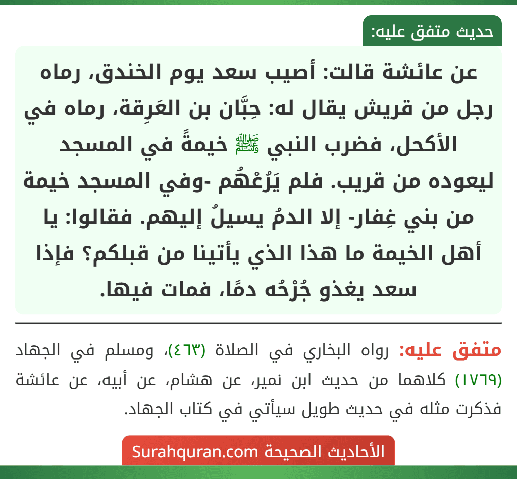 عن عائشة قالت: أصيب سعد يوم الخندق، رماه رجل من قريش يقال له: حِبَّان بن العَرِقة، رماه في الأكحل، فضرب النبي ﷺ خيمةً في المسجد ليعوده من قريب. فلم يَرُعْهُم -وفي المسجد خيمة من بني غِفار- إلا الدمُ يسيلُ إليهم. فقالوا: يا أهل الخيمة ما هذا الذي يأتينا من قبلكم؟ فإذا سعد يغذو جُرْحُه دمًا، فمات فيها.