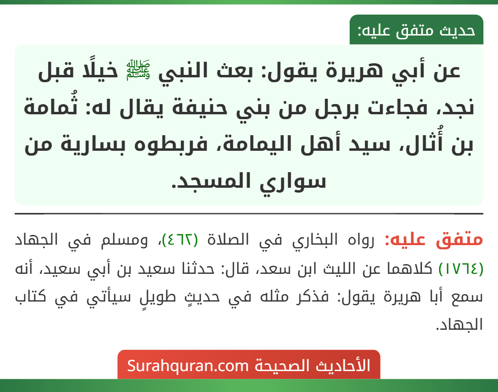 عن أبي هريرة يقول: بعث النبي ﷺ خيلًا قبل نجد، فجاءت برجل من بني حنيفة يقال له: ثُمامة بن أُثال، سيد أهل اليمامة، فربطوه بسارية من سواري المسجد.