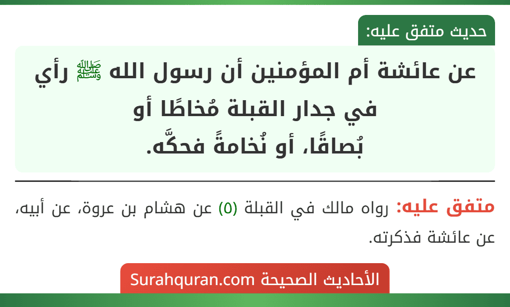 عن عائشة أم المؤمنين أن رسول الله ﷺ رأي في جدار القبلة مُخاطًا أو
بُصاقًا، أو نُخامةً فحكَّه.