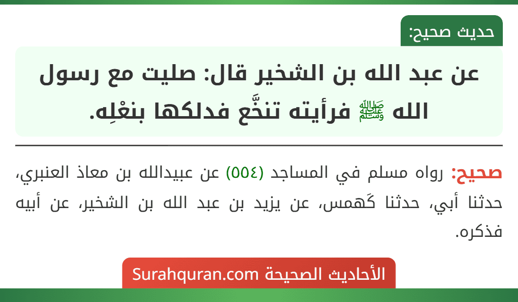 عن عبد الله بن الشخير قال: صليت مع رسول الله ﷺ فرأيته تنخَّع فدلكها بنعْلِه.