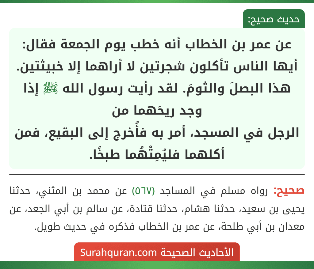 عن عمر بن الخطاب أنه خطب يوم الجمعة فقال: أيها الناس تأكلون شجرتين لا أراهما إلا خبيثتين. هذا البصلَ والثومَ. لقد رأيت رسول الله ﷺ إذا وجد ريحَهما من
الرجل في المسجد، أمر به فأُخرج إلى البقيع، فمن أكلهما فليُمِتْهُما طبخًا. عن عمر بن الخطاب أنه خطب يوم الجمعة فقال: أيها الناس تأكلون شجرتين لا أراهما إلا خبيثتين. هذا البصلَ والثومَ. لقد رأيت رسول الله ﷺ إذا وجد ريحَهما من
الرجل في المسجد، أمر به فأُخرج إلى البقيع، فمن أكلهما فليُمِتْهُما طبخًا.