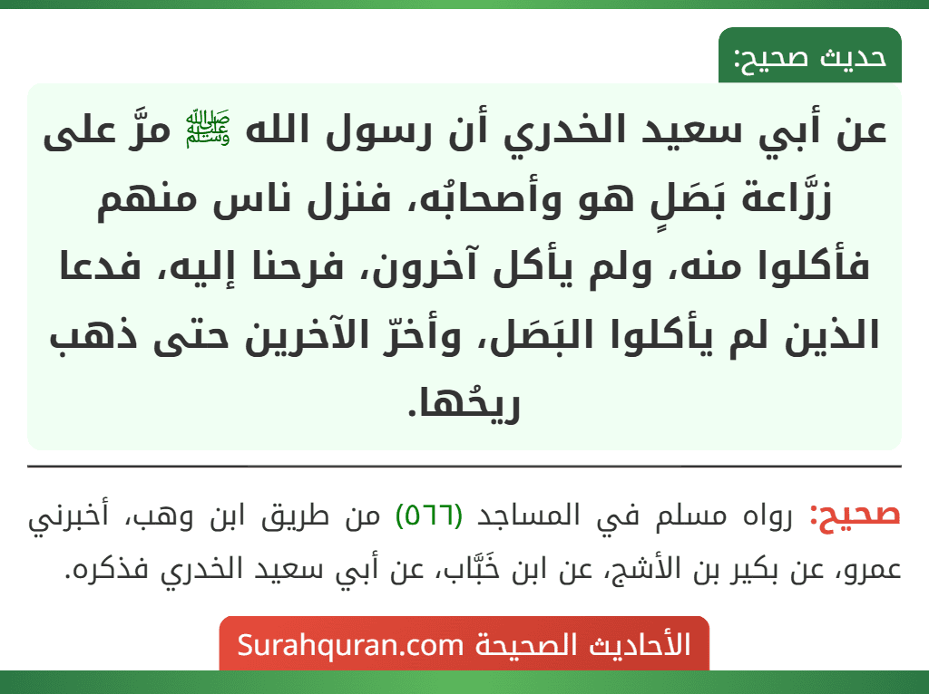 عن أبي سعيد الخدري أن رسول الله ﷺ مرَّ على زرَّاعة بَصَلٍ هو وأصحابُه، فنزل ناس منهم فأكلوا منه، ولم يأكل آخرون، فرحنا إليه، فدعا الذين لم يأكلوا البَصَل، وأخرّ الآخرين حتى ذهب ريحُها.