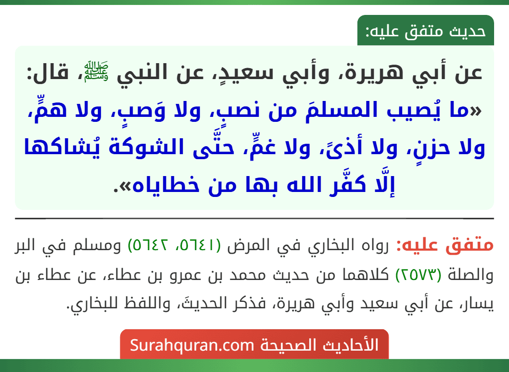 عن أبي هريرة، وأبي سعيدٍ، عن النبي ﷺ، قال: «ما يُصيب المسلمَ من نصبٍ، ولا وَصبٍ، ولا همٍّ، ولا حزنٍ، ولا أذىً، ولا غمٍّ، حتَّى الشوكة يُشاكها إلَّا كفَّر الله بها من خطاياه».