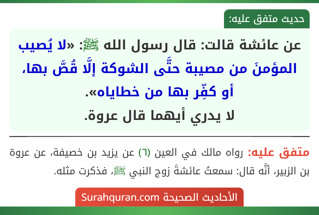 عن عائشة قالت: قال رسول الله ﷺ: «لا يُصيب المؤمنَ من مصيبة حتَّى الشوكة إلَّا قُصَّ بها، أو كفِّر بها من خطاياه».
لا يدري أيهما قال عروة.