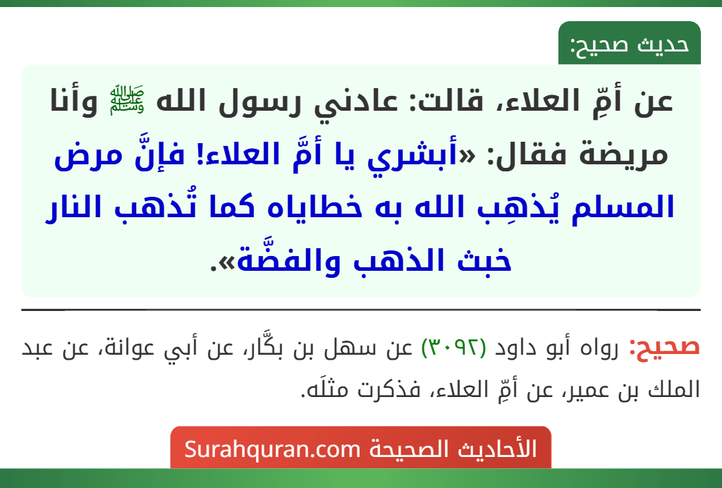 عن أمِّ العلاء، قالت: عادني رسول الله ﷺ وأنا مريضة فقال: «أبشري يا أمَّ العلاء! فإنَّ مرض المسلم يُذهِب الله به خطاياه كما تُذهب النار خبث الذهب والفضَّة». عن أمِّ العلاء، قالت: عادني رسول الله ﷺ وأنا مريضة فقال: «أبشري يا أمَّ العلاء! فإنَّ مرض المسلم يُذهِب الله به خطاياه كما تُذهب النار خبث الذهب والفضَّة».