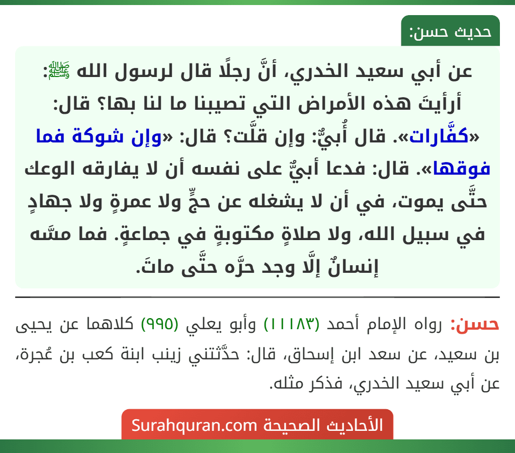 عن أبي سعيد الخدري، أنَّ رجلًا قال لرسول الله ﷺ: أرأيتَ هذه الأمراض التي تصيبنا ما لنا بها؟ قال: «كفَّارات». قال أُبيٌّ: وإن قلَّت؟ قال: «وإن شوكة فما فوقها». قال: فدعا أبيٌّ على نفسه أن لا يفارقه الوعك حتَّى يموت، في أن لا يشغله عن حجٍّ ولا عمرةٍ ولا جهادٍ في سبيل الله، ولا صلاةٍ مكتوبةٍ في جماعةٍ. فما مسَّه إنسانٌ إلَّا وجد حرَّه حتَّى ماتَ. عن أبي سعيد الخدري، أنَّ رجلًا قال لرسول الله ﷺ: أرأيتَ هذه الأمراض التي تصيبنا ما لنا بها؟ قال: «كفَّارات». قال أُبيٌّ: وإن قلَّت؟ قال: «وإن شوكة فما فوقها». قال: فدعا أبيٌّ على نفسه أن لا يفارقه الوعك حتَّى يموت، في أن لا يشغله عن حجٍّ ولا عمرةٍ ولا جهادٍ في سبيل الله، ولا صلاةٍ مكتوبةٍ في جماعةٍ. فما مسَّه إنسانٌ إلَّا وجد حرَّه حتَّى ماتَ.