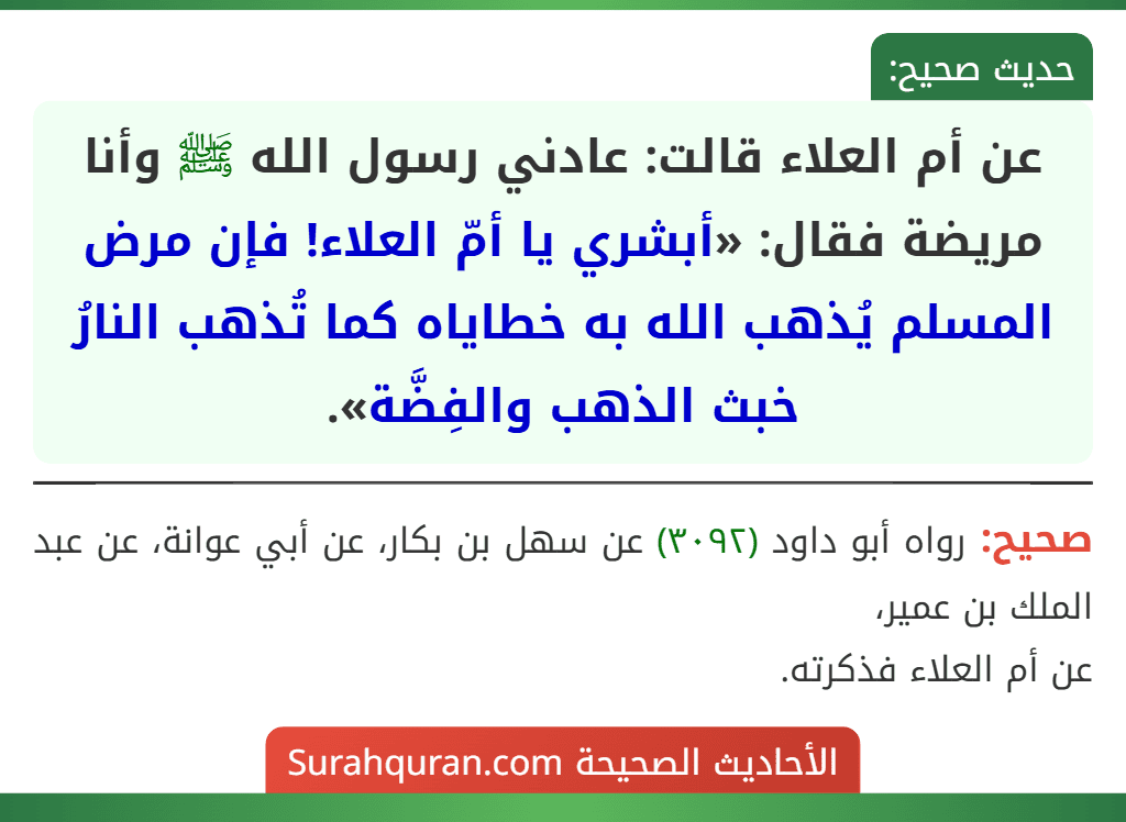 عن أم العلاء قالت: عادني رسول الله ﷺ وأنا مريضة فقال: «أبشري يا أمّ العلاء! فإن مرض المسلم يُذهب الله به خطاياه كما تُذهب النارُ خبث الذهب والفِضَّة». عن أم العلاء قالت: عادني رسول الله ﷺ وأنا مريضة فقال: «أبشري يا أمّ العلاء! فإن مرض المسلم يُذهب الله به خطاياه كما تُذهب النارُ خبث الذهب والفِضَّة».