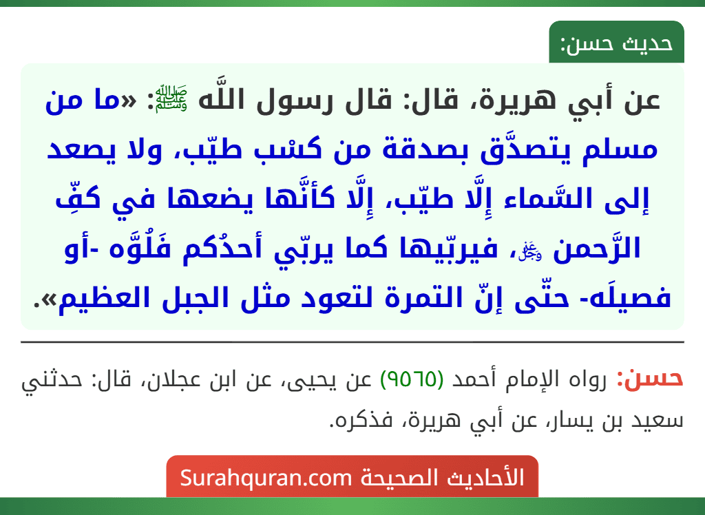 عن أبي هريرة، قال: قال رسول اللَّه ﷺ: «ما من مسلم يتصدَّق بصدقة من كسْب طيّب، ولا يصعد إلى السَّماء إِلَّا طيّب، إِلَّا كأنَّها يضعها في كفِّ الرَّحمن ﷿، فيربّيها كما يربّي أحدُكم فَلُوَّه -أو فصيلَه- حتّى إنّ التمرة لتعود مثل الجبل العظيم».