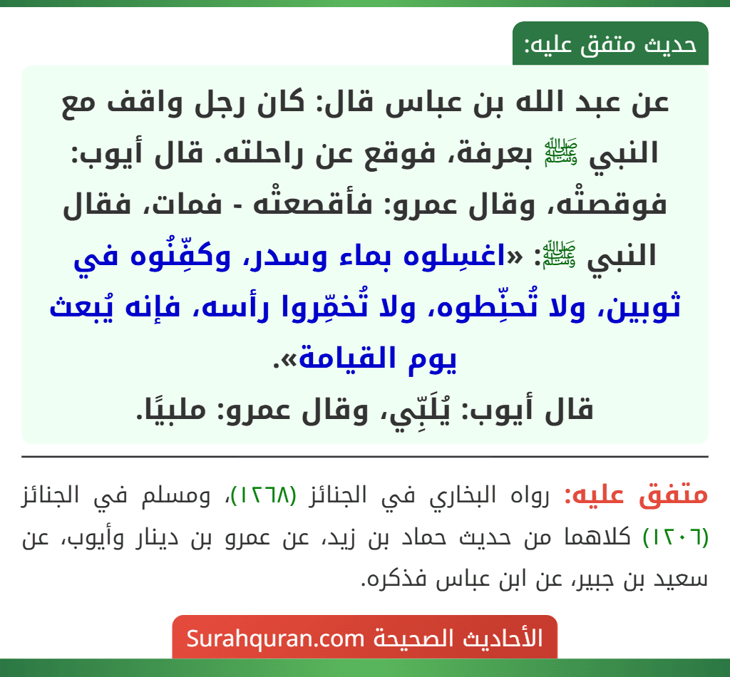عن عبد الله بن عباس قال: كان رجل واقف مع النبي ﷺ بعرفة، فوقع عن راحلته. قال أيوب: فوقصتْه، وقال عمرو: فأقصعتْه - فمات، فقال النبي ﷺ: «اغسِلوه بماء وسدر، وكفِّنُوه في ثوبين، ولا تُحنِّطوه، ولا تُخمِّروا رأسه، فإنه يُبعث يوم القيامة».
قال أيوب: يُلَبِّي، وقال عمرو: ملبيًا. عن عبد الله بن عباس قال: كان رجل واقف مع النبي ﷺ بعرفة، فوقع عن راحلته. قال أيوب: فوقصتْه، وقال عمرو: فأقصعتْه - فمات، فقال النبي ﷺ: «اغسِلوه بماء وسدر، وكفِّنُوه في ثوبين، ولا تُحنِّطوه، ولا تُخمِّروا رأسه، فإنه يُبعث يوم القيامة».
قال أيوب: يُلَبِّي، وقال عمرو: ملبيًا.