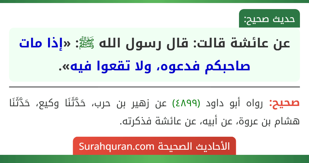 عن عائشة قالت: قال رسول الله ﷺ: «إذا مات صاحبكم فدعوه، ولا تقعوا فيه».