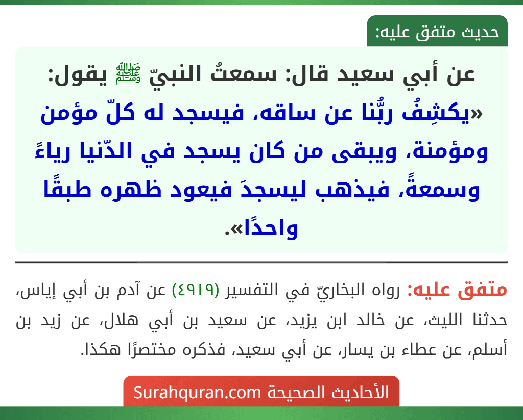 عن أبي سعيد قال: سمعتُ النبيّ ﷺ يقول: «يكشِفُ ربُّنا عن ساقه، فيسجد له كلّ مؤمن ومؤمنة، ويبقى من كان يسجد في الدّنيا رياءً وسمعةً، فيذهب ليسجدَ فيعود ظهره طبقًا واحدًا».