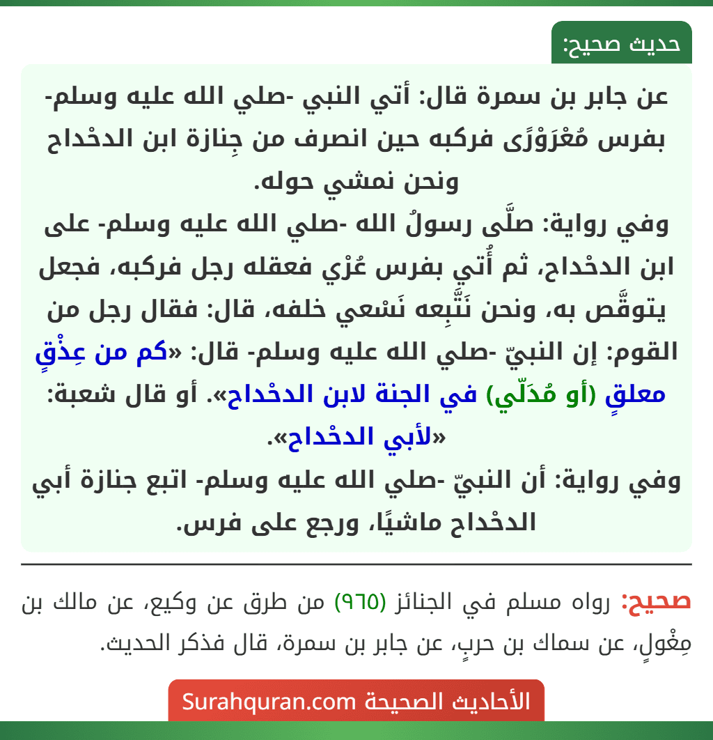 عن جابر بن سمرة قال: أتي النبي -صلي الله عليه وسلم- بفرس مُعْرَوْرًى فركبه حين انصرف من جِنازة ابن الدحْداح ونحن نمشي حوله.
وفي رواية: صلَّى رسولُ الله -صلي الله عليه وسلم- على ابن الدحْداح، ثم أُتي بفرس عُرْي فعقله رجل فركبه، فجعل يتوقَّص به، ونحن نَتَّبِعه نَسْعي خلفه، قال: فقال رجل من القوم: إن النبيّ -صلي الله عليه وسلم- قال: «كم من عِذْقٍ معلقٍ (أو مُدَلّي) في الجنة لابن الدحْداح». أو قال شعبة: «لأبي الدحْداح».
وفي رواية: أن النبيّ -صلي الله عليه وسلم- اتبع جنازة أبي الدحْداح ماشيًا، ورجع على فرس.