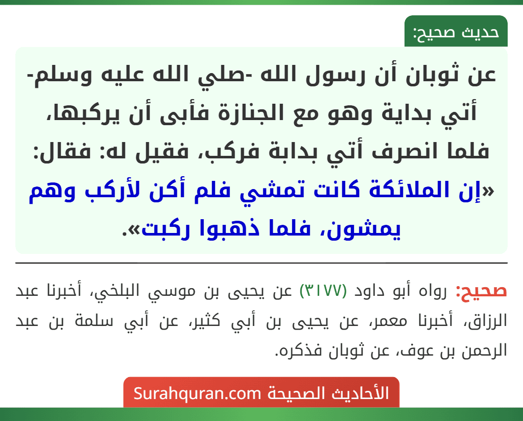 عن ثوبان أن رسول الله -صلي الله عليه وسلم- أتي بداية وهو مع الجنازة فأبى أن يركبها، فلما انصرف أتي بدابة فركب، فقيل له: فقال: «إن الملائكة كانت تمشي فلم أكن لأركب وهم يمشون، فلما ذهبوا ركبت».