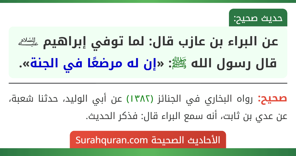 عن البراء بن عازب قال: لما توفي إبراهيم ﵇ قال رسول الله ﷺ: «إن له مرضعًا في الجنة».