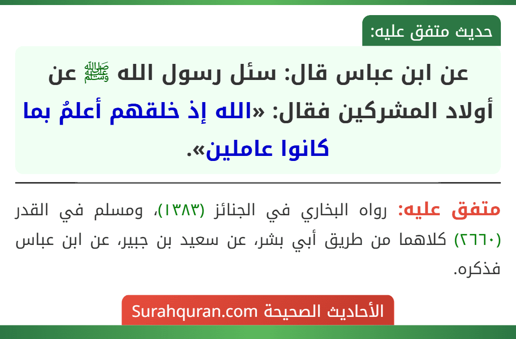 عن ابن عباس قال: سئل رسول الله ﷺ عن أولاد المشركين فقال: «الله إذ خلقهم أعلمُ بما كانوا عاملين».