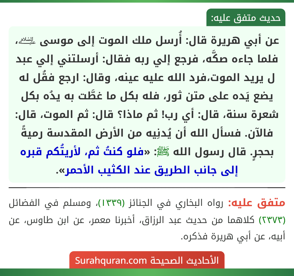 عن أبي هريرة قال: أُرسل ملك الموت إلى موسى ﵇، فلما جاءه صكَّه، فرجع إلي ربه فقال: أرسلتني إلي عبد ل يريد الموت،فرد الله عليه عينه، وقال: ارجع فقُل له يضع يَده على متن ثور، فله بكل ما غطَّت به يدُه بكل شعرة سنة، قال: أي رب! ثم ماذا؟ قال: ثم الموت، قال: فالآن. فسأل الله أن يُدنِيه من الأرض المقدسة رميةً بحجرٍ. قال رسول الله ﷺ: «فلو كنتُ ثم، لأريتُكم قبره إلى جانب الطريق عند الكثيب الأحمر». عن أبي هريرة قال: أُرسل ملك الموت إلى موسى ﵇، فلما جاءه صكَّه، فرجع إلي ربه فقال: أرسلتني إلي عبد ل يريد الموت،فرد الله عليه عينه، وقال: ارجع فقُل له يضع يَده على متن ثور، فله بكل ما غطَّت به يدُه بكل شعرة سنة، قال: أي رب! ثم ماذا؟ قال: ثم الموت، قال: فالآن. فسأل الله أن يُدنِيه من الأرض المقدسة رميةً بحجرٍ. قال رسول الله ﷺ: «فلو كنتُ ثم، لأريتُكم قبره إلى جانب الطريق عند الكثيب الأحمر».