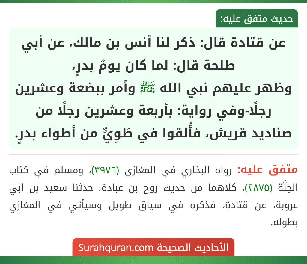 عن قتادة قال: ذكر لنا أنس بن مالك، عن أبي طلحة قال: لما كان يومُ بدرٍ،
وظهر عليهم نبي الله ﷺ وأمر ببضعة وعشرين رجلًا-وفي رواية: بأربعة وعشرين رجلًا من صناديد قريش، فأُلقوا في طَوِيٍّ من أطواء بدرٍ.