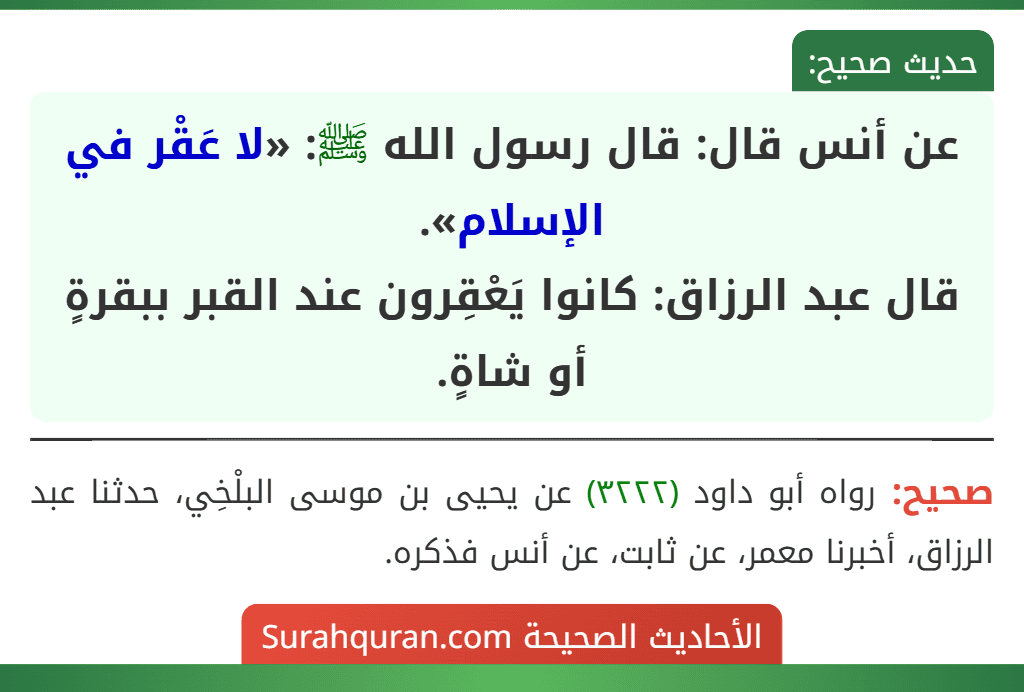 عن أنس قال: قال رسول الله ﷺ: «لا عَقْر في الإسلام».
قال عبد الرزاق: كانوا يَعْقِرون عند القبر ببقرةٍ أو شاةٍ.