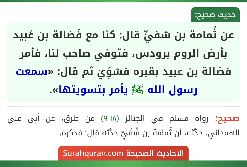 عن ثُمامة بن شفيٍّ قال: كنا مع فَضالة بن عُبيد بأرض الروم برودس، فتوفي صاحب لنا، فأمر فضالة بن عبيد بقبره فسُوِّيَ ثم قال: «سمعت رسول الله ﷺ يأمر بتسويتها».
