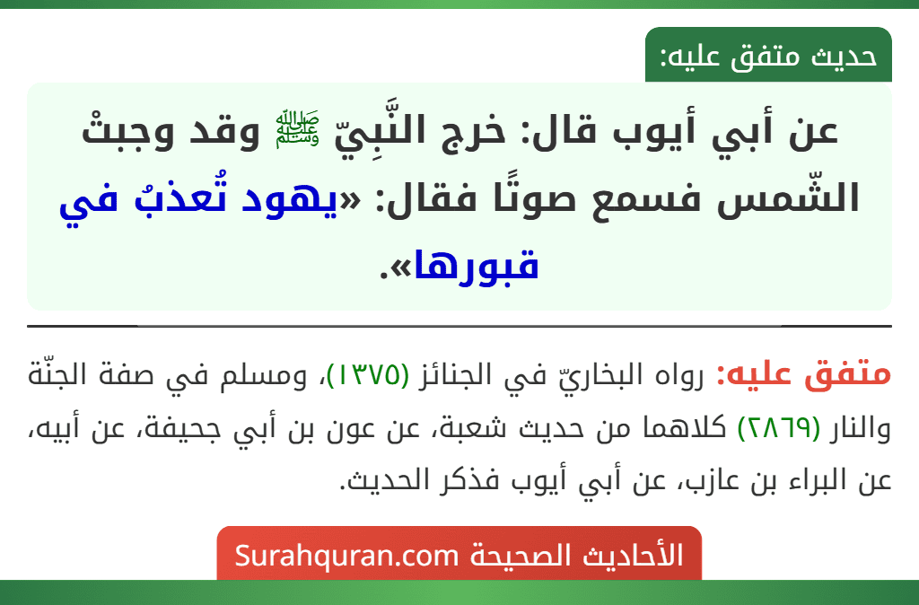 عن أبي أيوب قال: خرج النَّبِيّ ﷺ وقد وجبتْ الشّمس فسمع صوتًا فقال: «يهود تُعذبُ في قبورها».