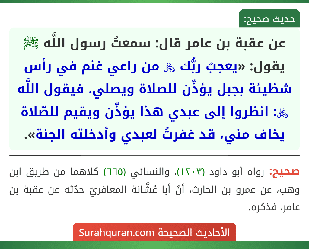 عن عقبة بن عامر قال: سمعتُ رسول اللَّه ﷺ يقول: «يعجبُ ربُّك ﷿ من راعي غنم في رأس شظيئة بجبل يؤذّن للصلاة ويصلي. فيقول اللَّه ﷿: انظروا إلى عبدي هذا يؤذّن ويقيم للصّلاة يخاف مني، قد غفرتُ لعبدي وأدخلته الجنة».
