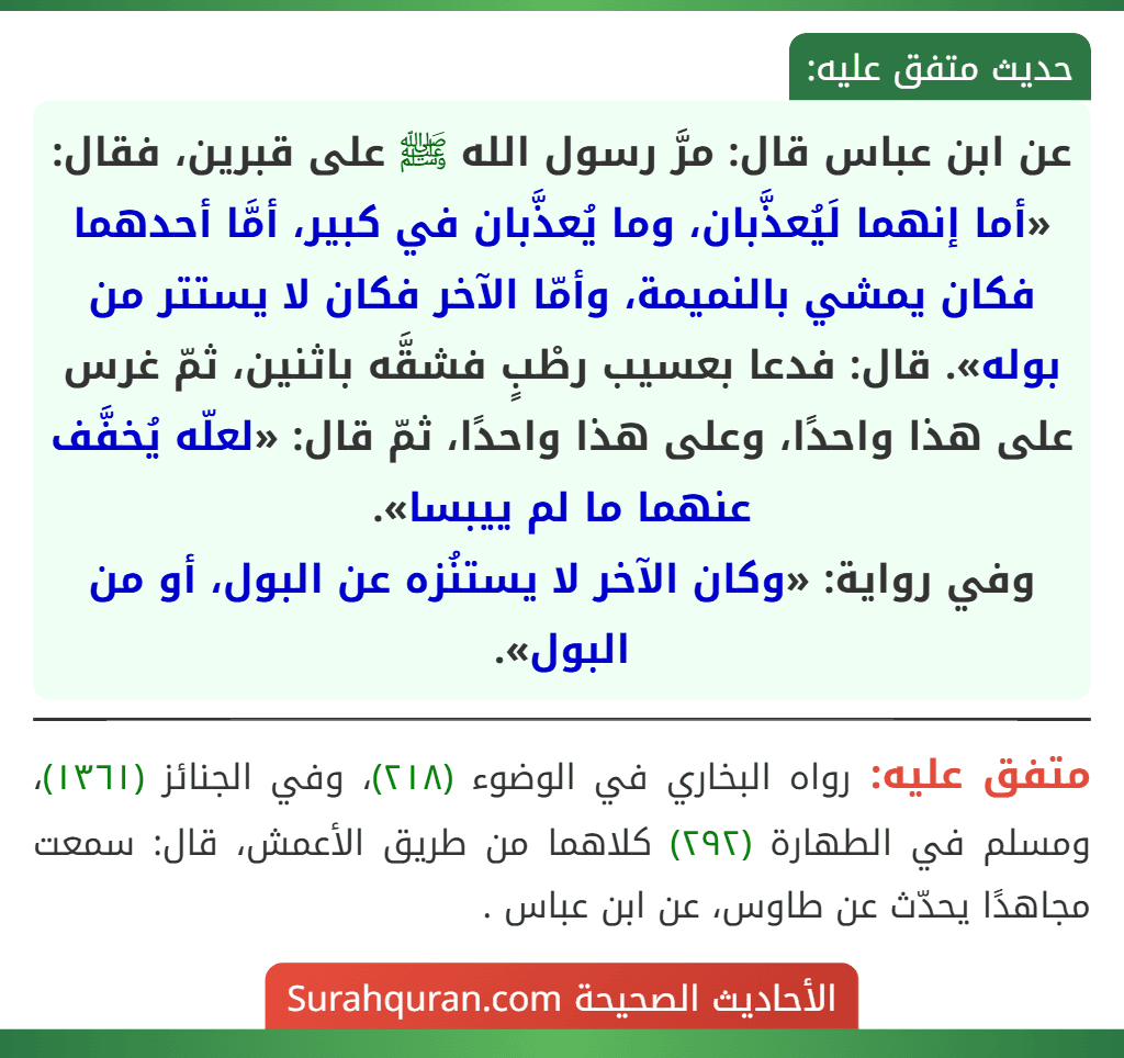 عن ابن عباس قال: مرَّ رسول الله ﷺ على قبرين، فقال: «أما إنهما لَيُعذَّبان، وما يُعذَّبان في كبير، أمَّا أحدهما فكان يمشي بالنميمة، وأمّا الآخر فكان لا يستتر من بوله». قال: فدعا بعسيب رطْبٍ فشقَّه باثنين، ثمّ غرس على هذا واحدًا، وعلى هذا واحدًا، ثمّ قال: «لعلّه يُخفَّف عنهما ما لم ييبسا».
وفي رواية: «وكان الآخر لا يستنُزه عن البول، أو من البول».