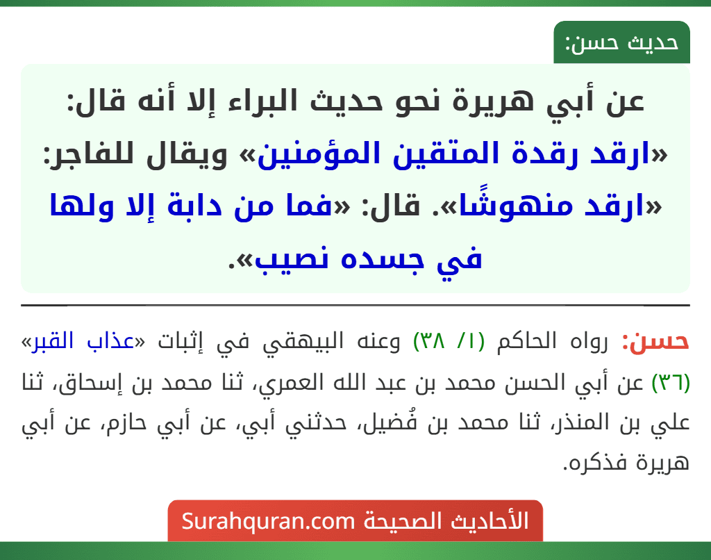 عن أبي هريرة نحو حديث البراء إلا أنه قال: «ارقد رقدة المتقين المؤمنين» ويقال للفاجر: «ارقد منهوشًا». قال: «فما من دابة إلا ولها في جسده نصيب». عن أبي هريرة نحو حديث البراء إلا أنه قال: «ارقد رقدة المتقين المؤمنين» ويقال للفاجر: «ارقد منهوشًا». قال: «فما من دابة إلا ولها في جسده نصيب».